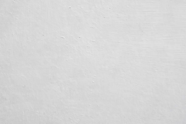 Best Attic Mold Removal  in Judsonia, AR