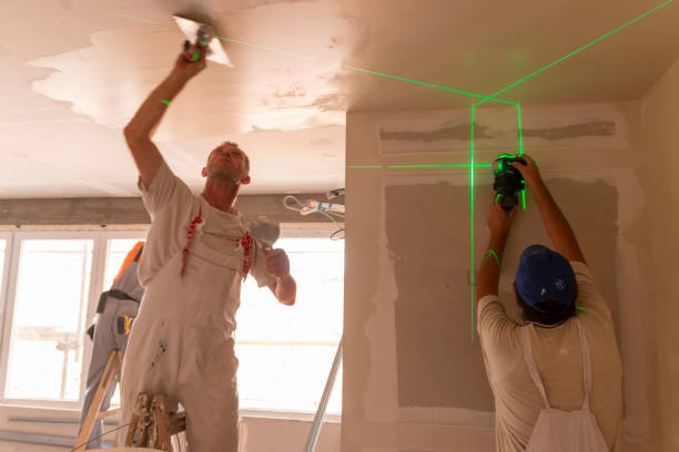 Best Basement Mold Removal  in Judsonia, AR